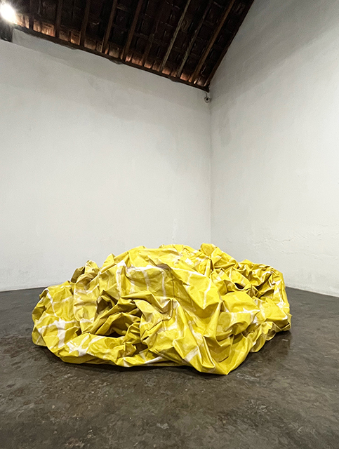 What My Mind Imprinted_2025